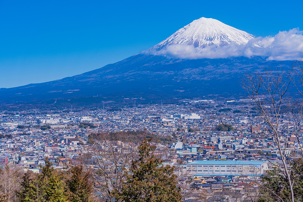 サイトをご覧いただいた皆様へ